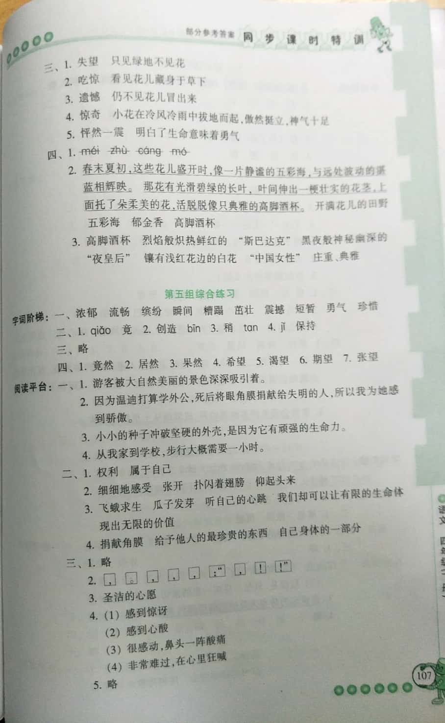 2019年浙江新課程三維目標(biāo)測評課時特訓(xùn)四年級語文下冊人教版 第13頁