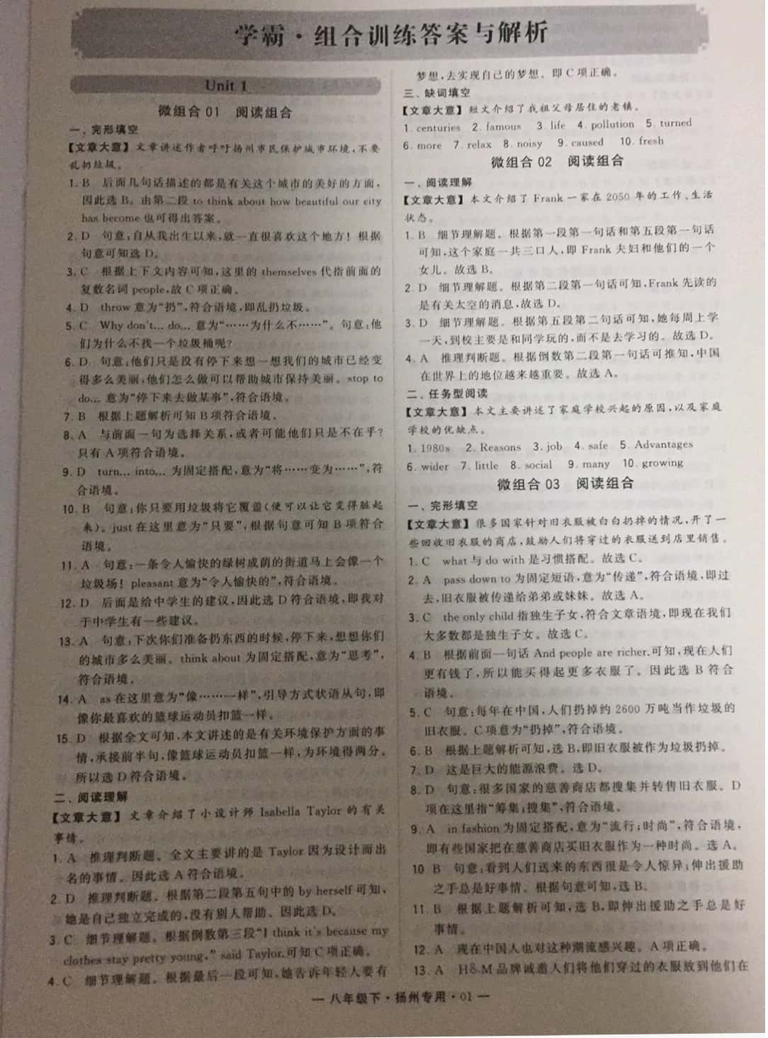 2019年經(jīng)綸學(xué)典學(xué)霸八年級(jí)英語下冊(cè)譯林版揚(yáng)州專版 參考答案第1頁