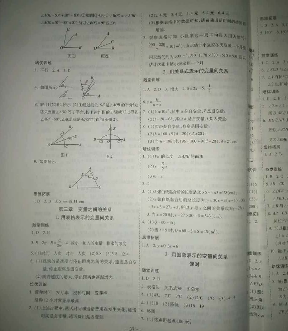 2019年新課程成長資源課時精練七年級數(shù)學下冊北師大版 參考答案第5頁