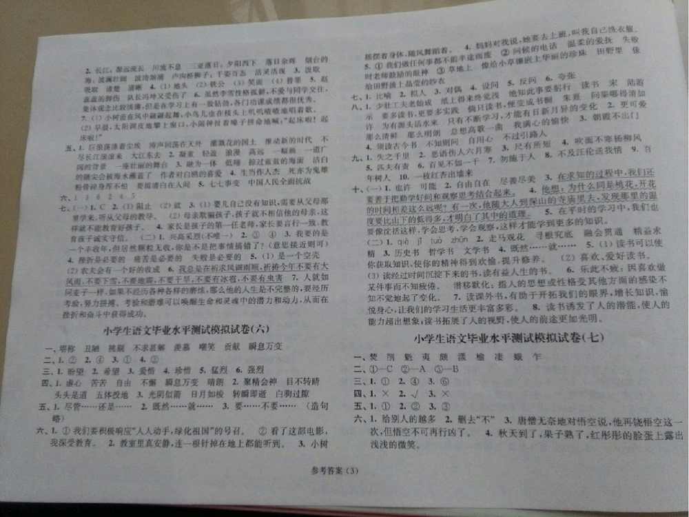 2019年小升初小學(xué)生畢業(yè)水平測(cè)試模擬卷六年級(jí)語(yǔ)文 參考答案第3頁(yè)