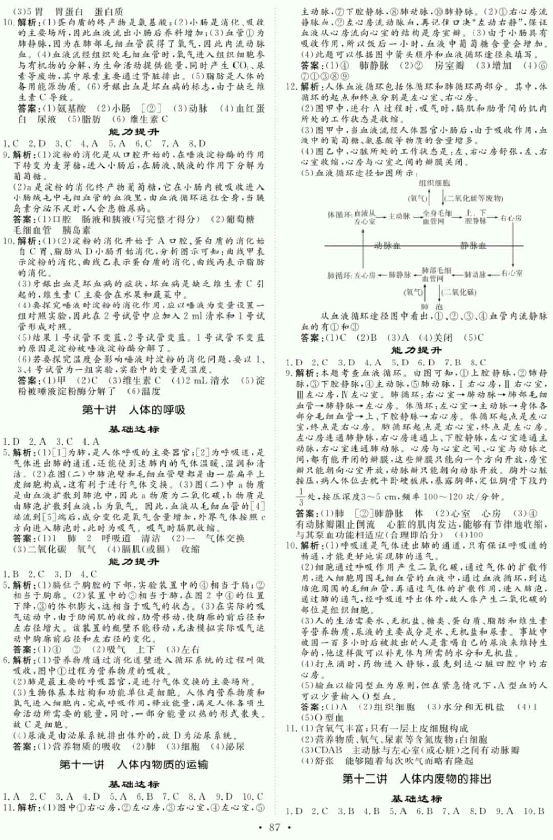 2019年創(chuàng)意課堂中考總復習指導九年級生物 參考答案第3頁