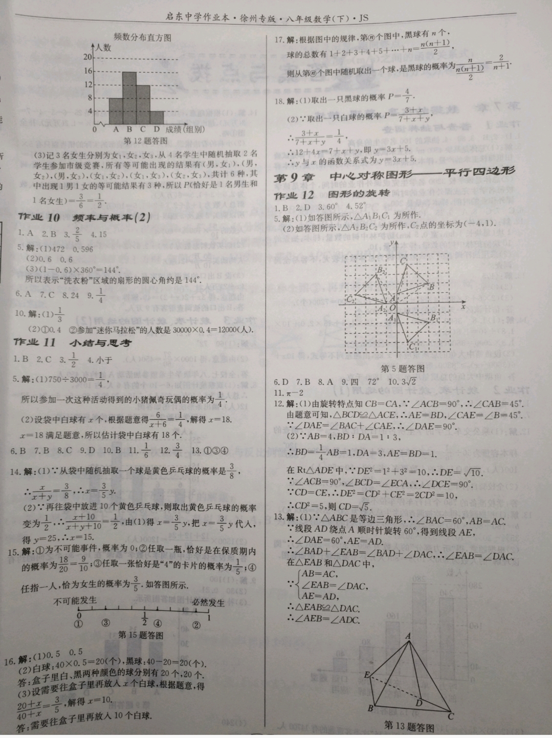 2019年启东中学作业本八年级数学下册江苏版徐州专版 参考答案第5页