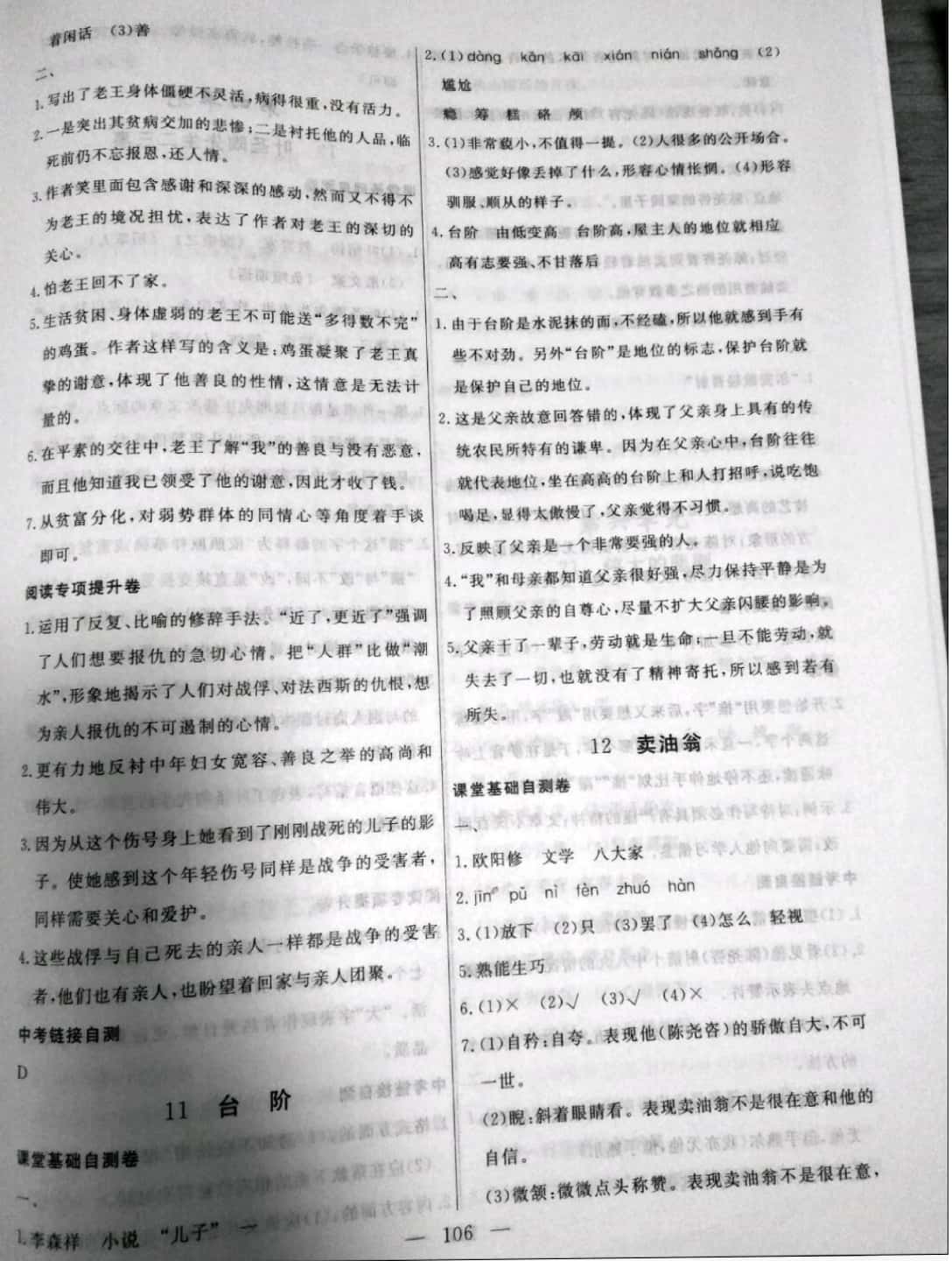 2019年花山小状元学科能力达标初中生100全优卷七年级语文下册 参考答案第6页