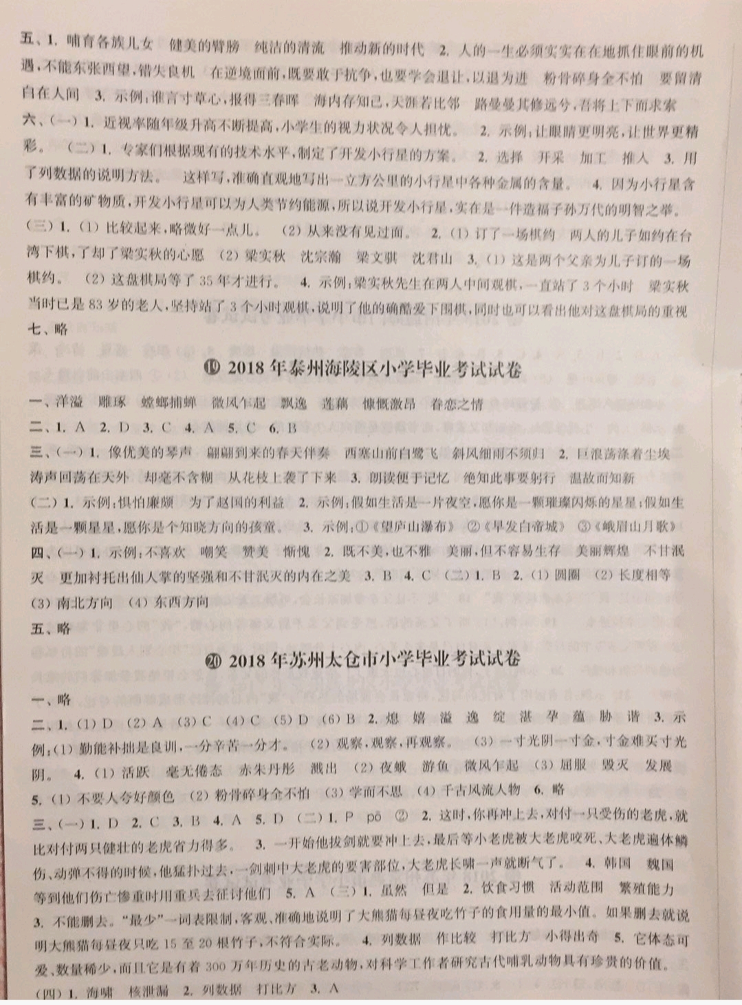 2019年小學(xué)畢業(yè)考試試卷精編六年級(jí)語(yǔ)文下冊(cè)蘇教版 參考答案第11頁(yè)