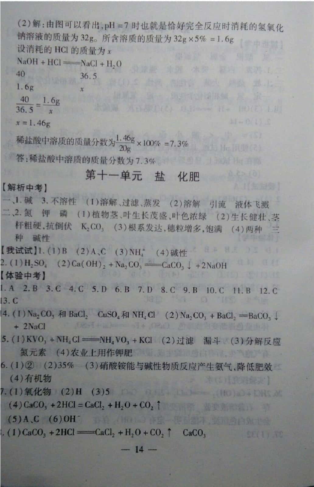 2019年中考突破九年級(jí)化學(xué) 參考答案第14頁