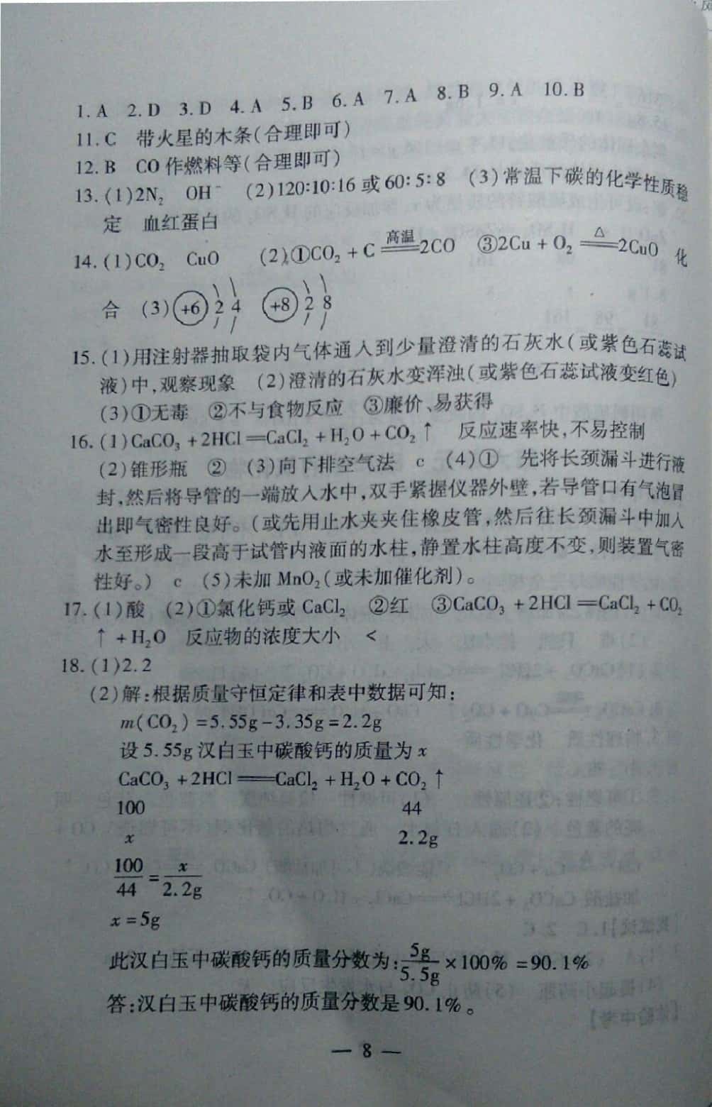 2019年中考突破九年級化學 參考答案第8頁
