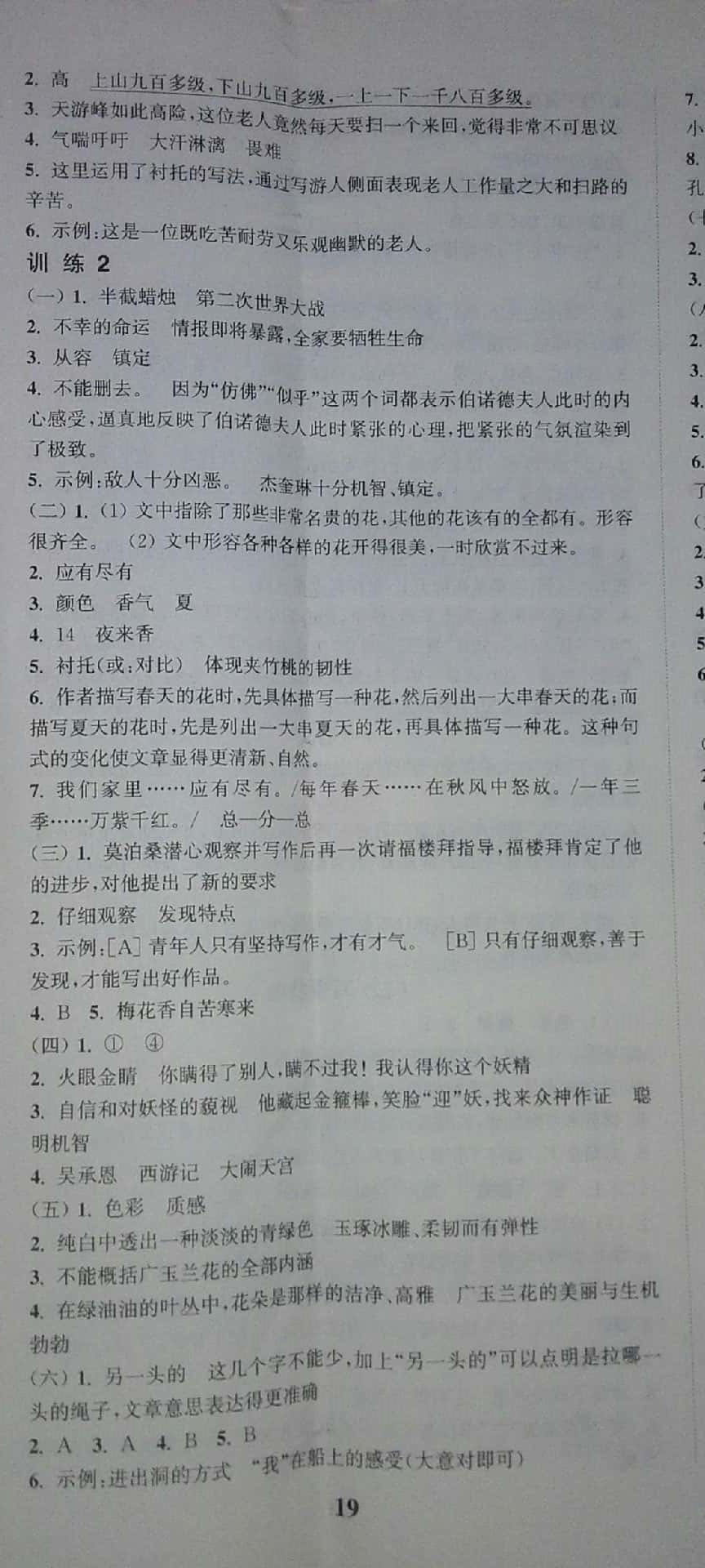 2019年通城學(xué)典通城1典小學(xué)總復(fù)習(xí)語文蘇教版 參考答案第20頁