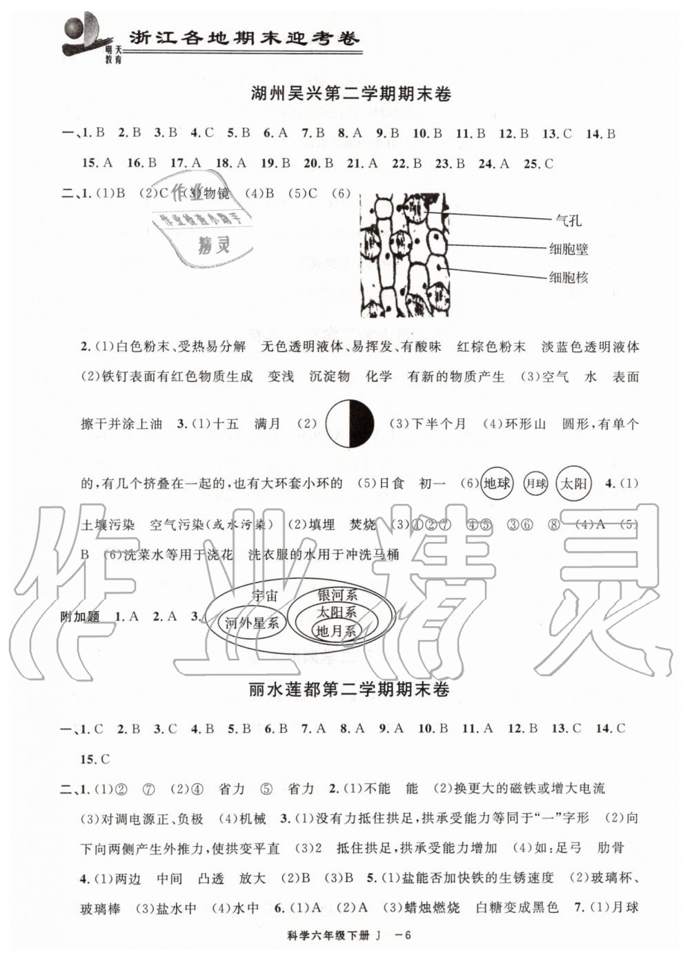 2019年浙江各地期末迎考卷六年級科學下冊教科版 參考答案第6頁