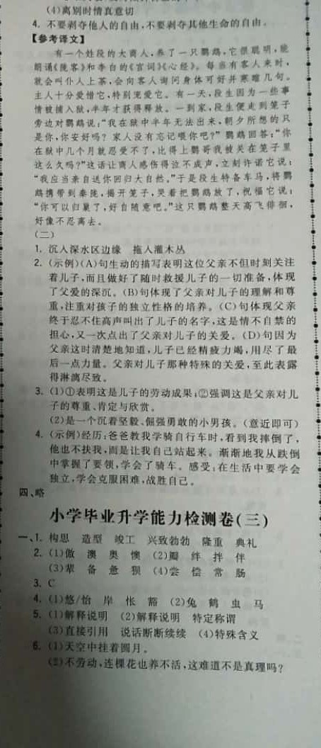 2019年奪冠小狀元小學(xué)畢業(yè)升學(xué)總復(fù)習(xí)六年級(jí)語(yǔ)文下冊(cè) 參考答案第20頁(yè)