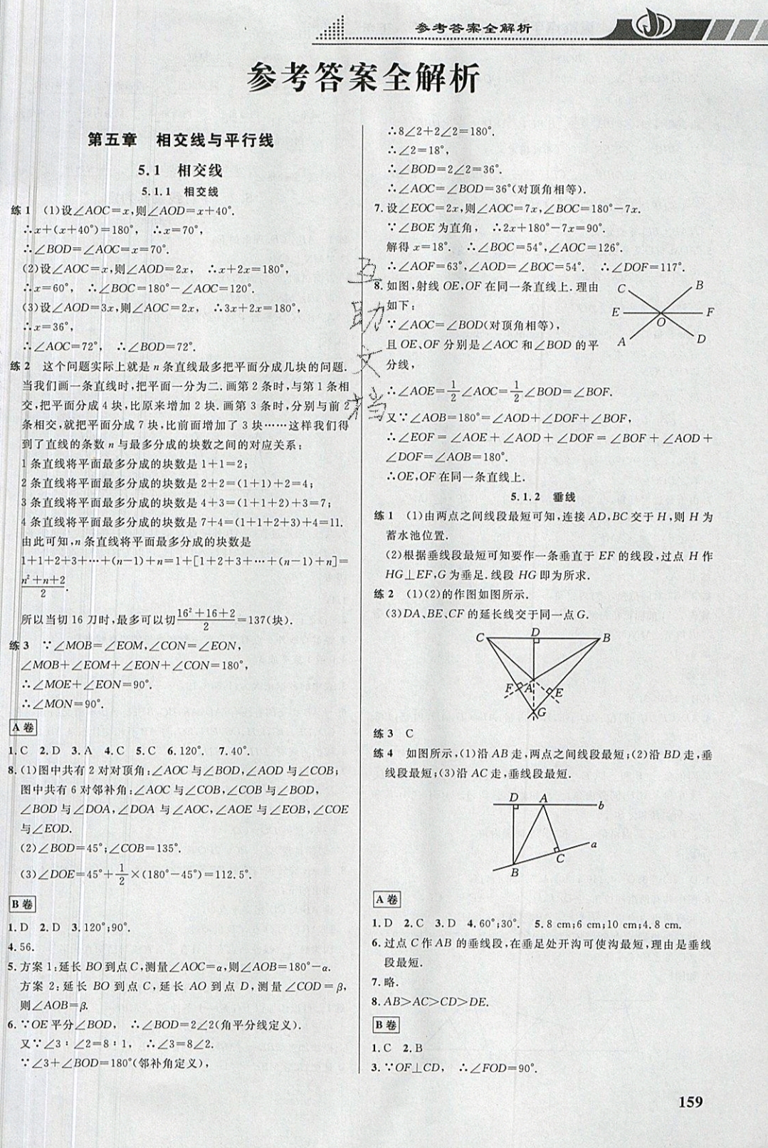 2019年重難點(diǎn)手冊七年級數(shù)學(xué)下冊人教版 參考答案第1頁