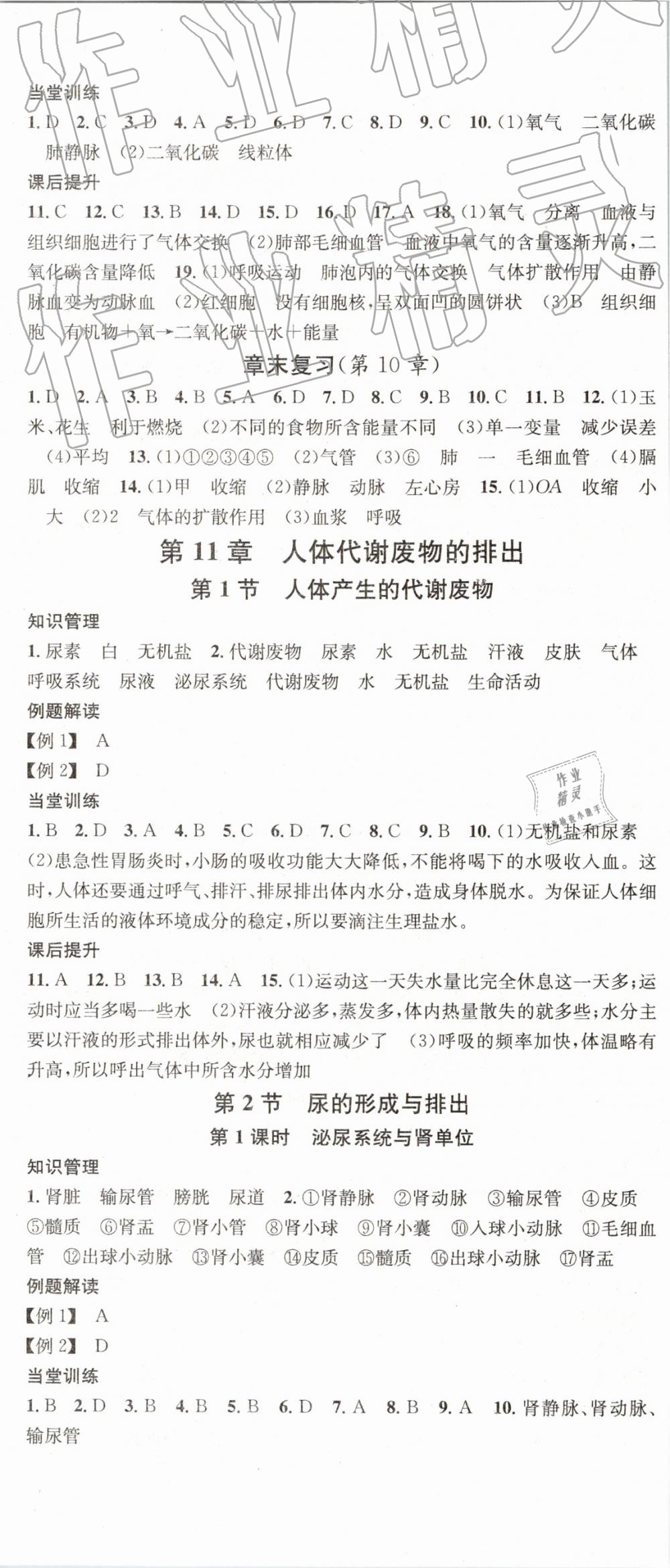 2019年名校課堂七年級(jí)生物下冊(cè)北師大版 參考答案第5頁