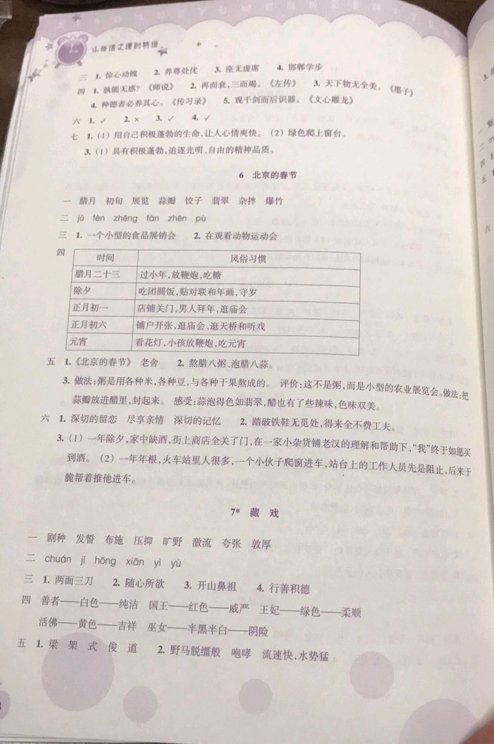 2019年小学语文课时特训六年级下册人教版 参考答案第3页