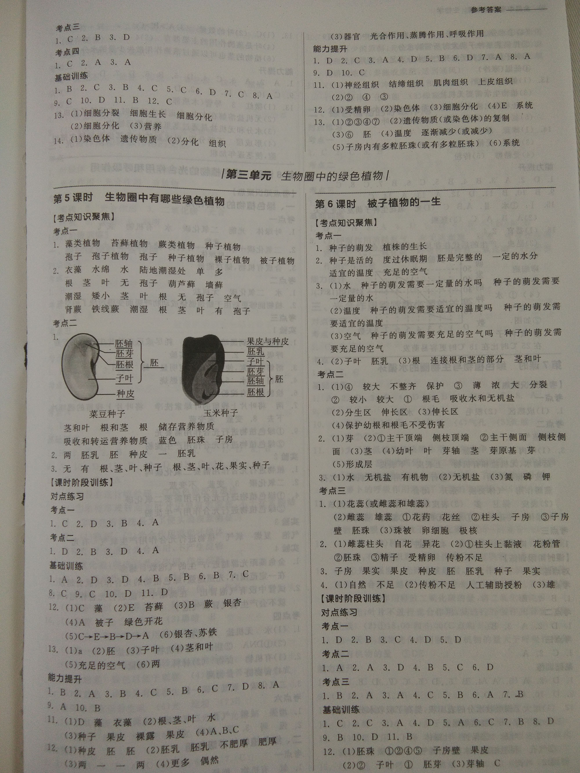 2019年全品中考复习方案生物学鄂尔多斯专版 参考答案第3页