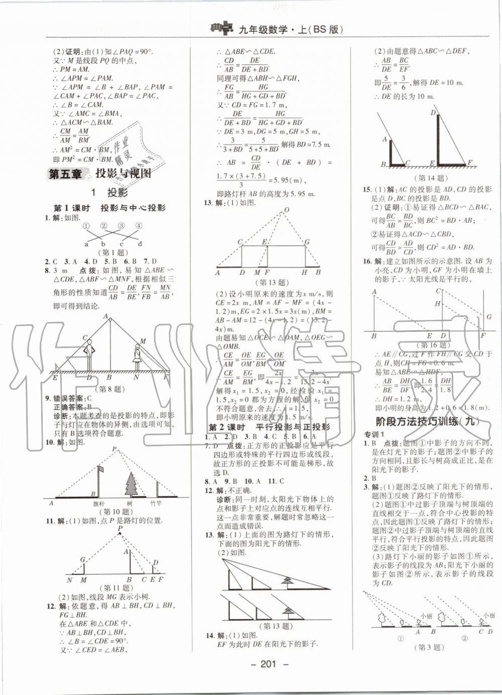 2019年綜合應(yīng)用創(chuàng)新題典中點(diǎn)九年級數(shù)學(xué)上冊北師大版 第41頁