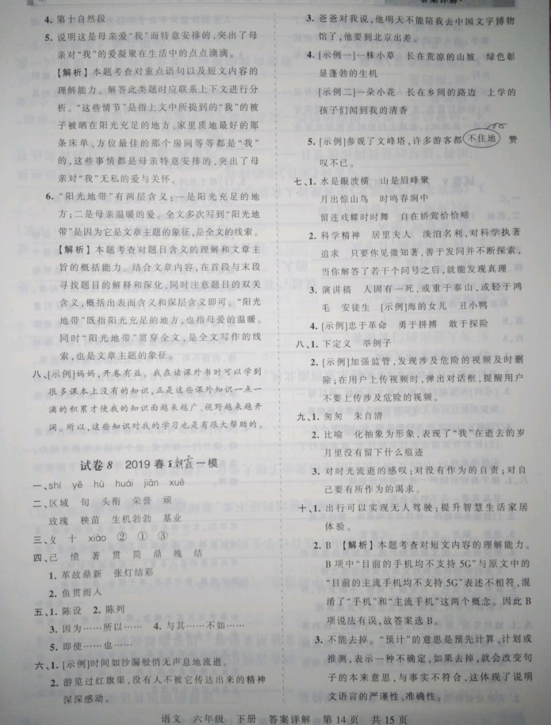 2019年王朝霞期末真題精編六年級(jí)語(yǔ)文下冊(cè)人教版 參考答案第14頁(yè)