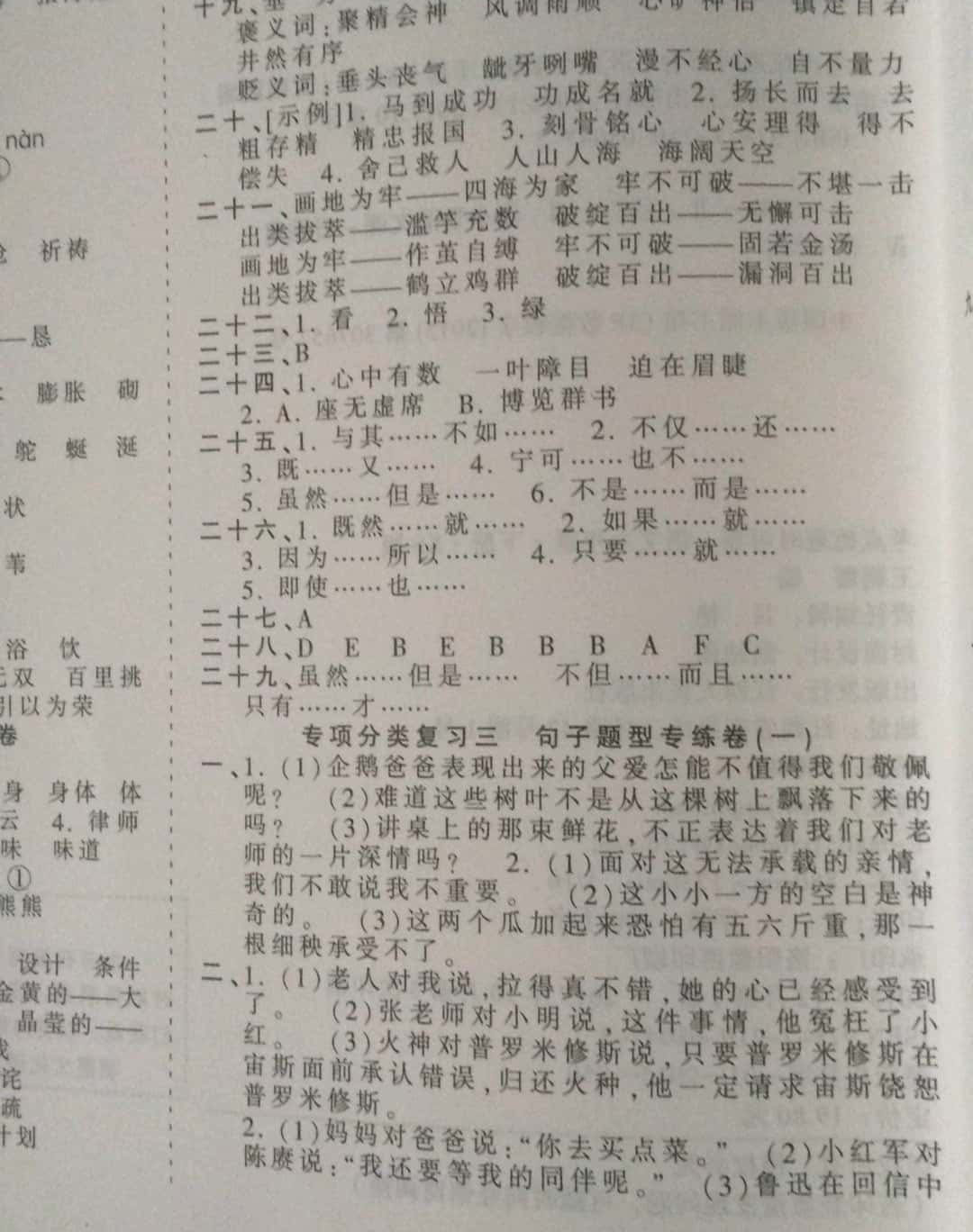 2019年王朝霞考點(diǎn)梳理時(shí)習(xí)卷六年級(jí)語(yǔ)文下冊(cè)西師大版 第25頁(yè)