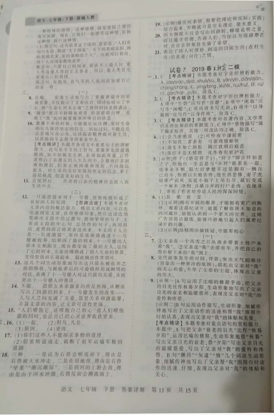 2019年王朝霞期末真題精編七年級(jí)語文下冊(cè)人教版 第11頁