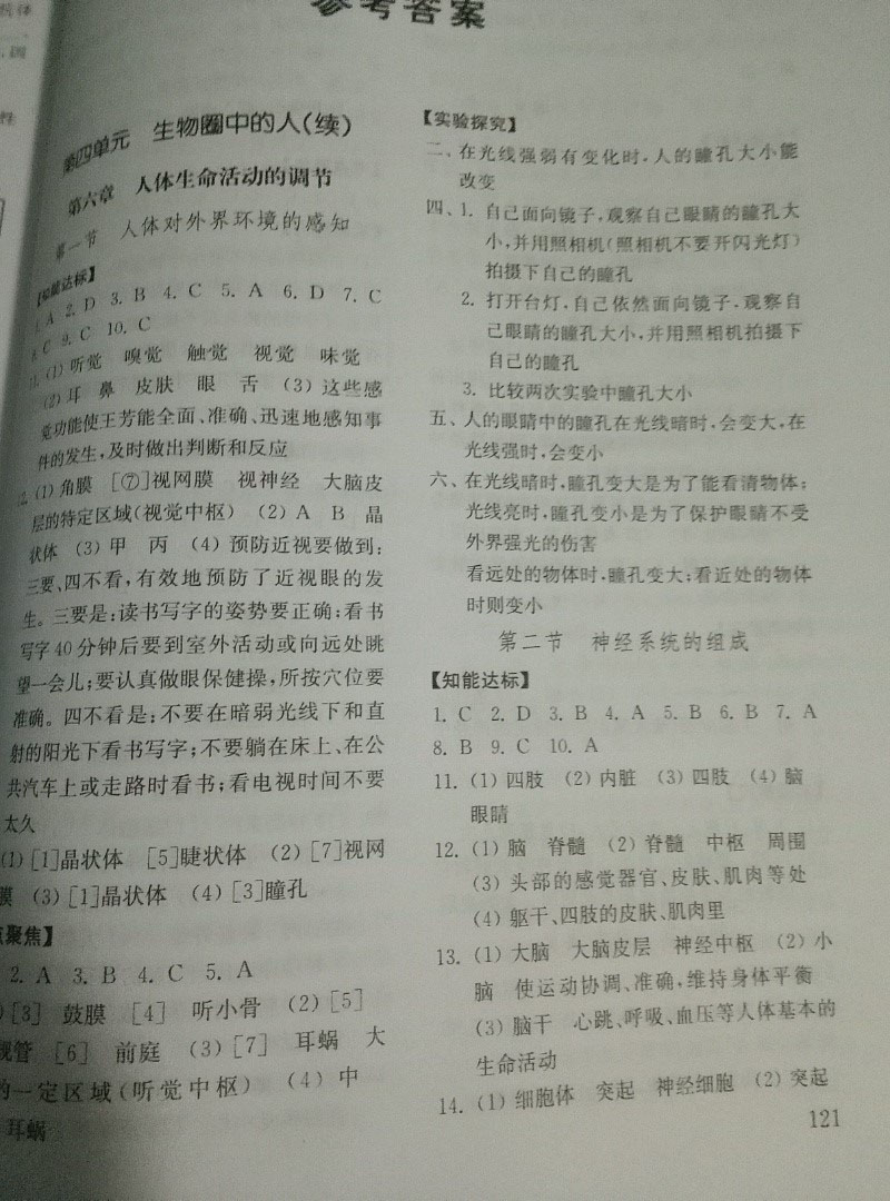 2019年初中基础训练七年级生物学下册鲁教版五四制山东教育出版社 参考答案第1页