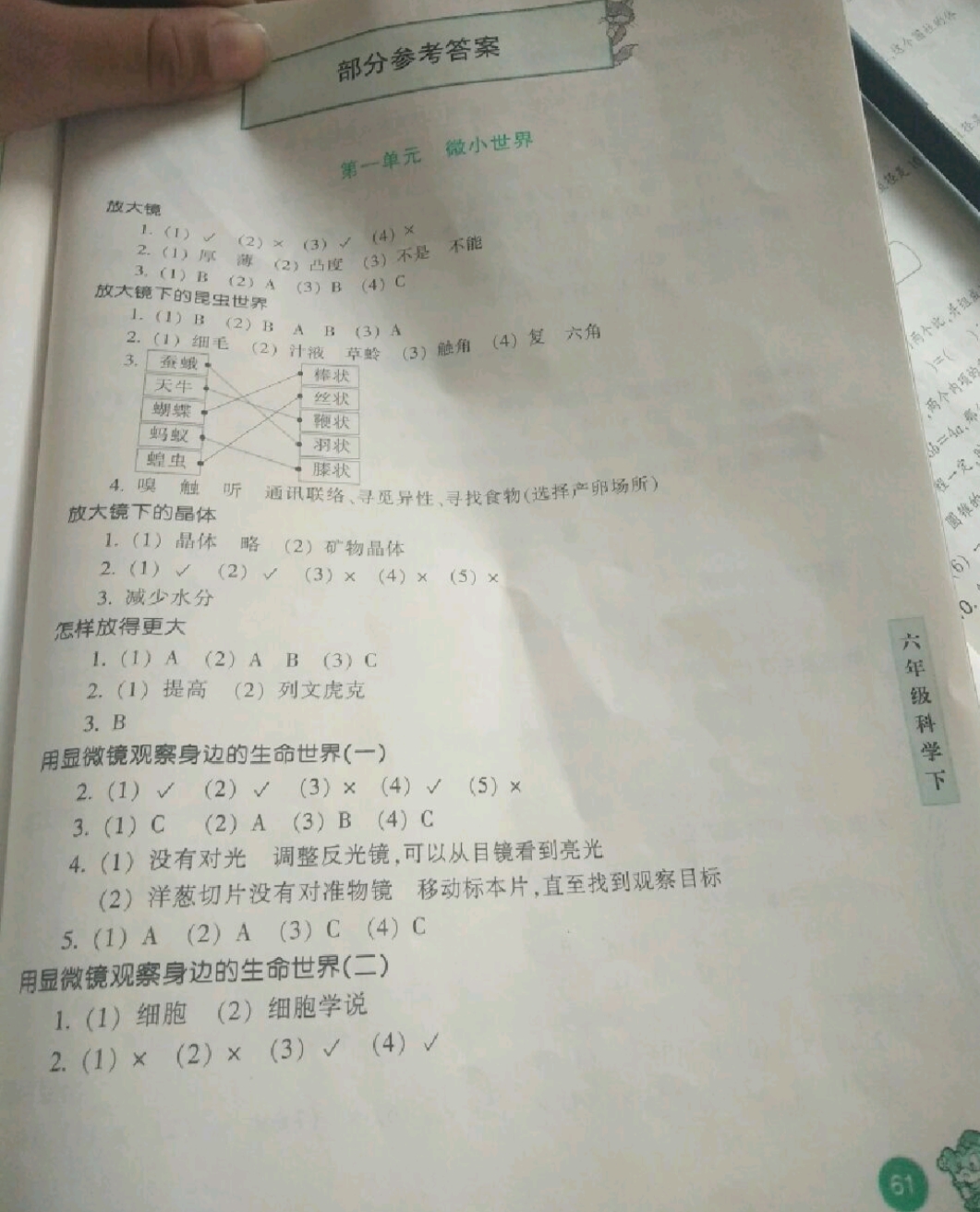 2019年每課一練浙江少年兒童出版社六年級科學(xué)下冊 參考答案第1頁