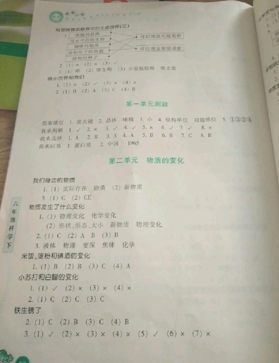 2019年每课一练浙江少年儿童出版社六年级科学下册 参考答案第2页