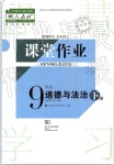 2019年智慧学习课堂作业九年级政治下册人教版