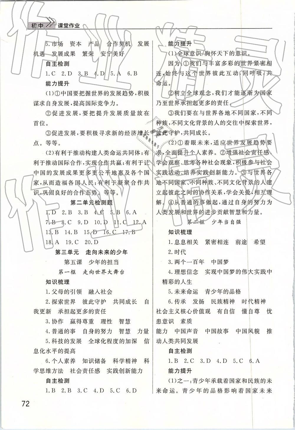 2019年智慧学习课堂作业九年级政治下册人教版 参考答案第4页