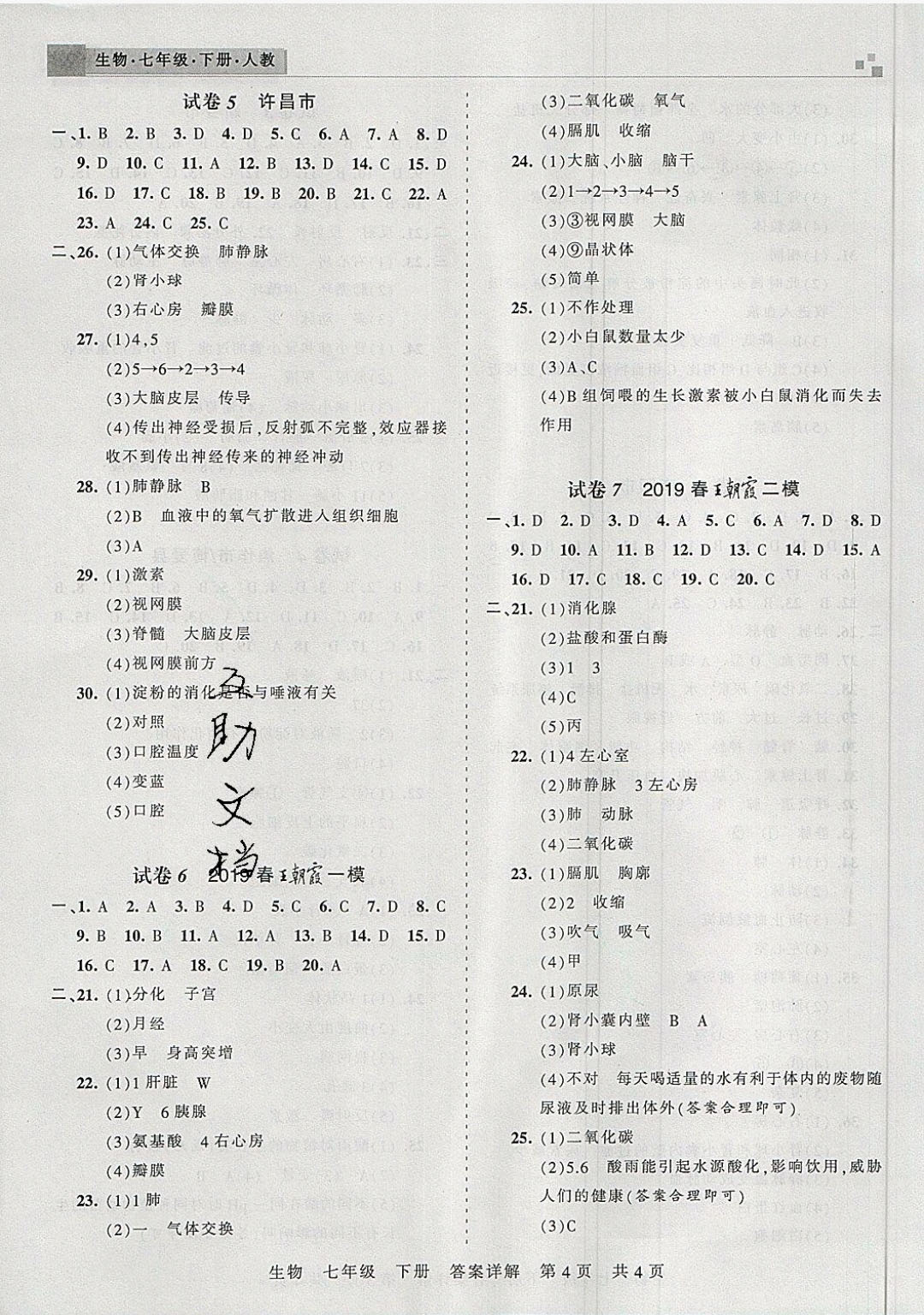 2019年王朝霞各地期末試卷精選七年級生物下冊人教版河南專版 參考答案第4頁