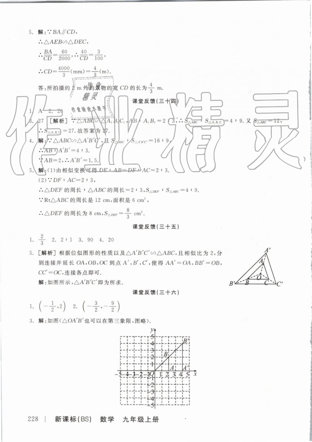 2019年全品学练考九年级数学上册北师大版 参考答案第24页