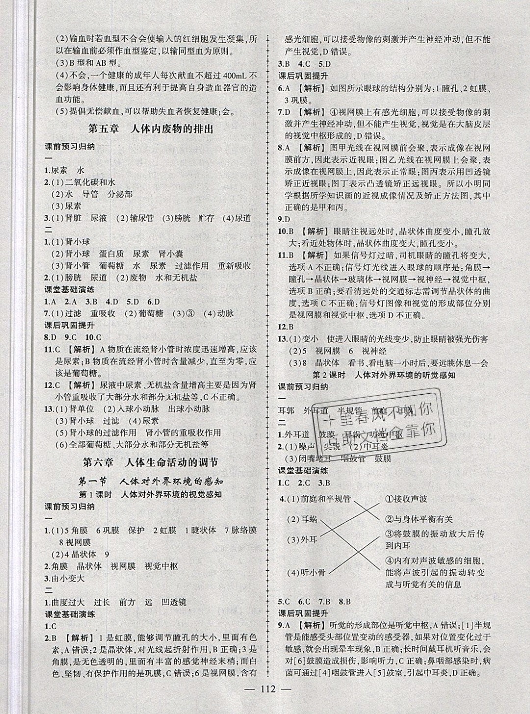 2019年黃岡創(chuàng)優(yōu)作業(yè)導(dǎo)學(xué)練七年級(jí)生物下冊(cè)人教版 參考答案第13頁(yè)