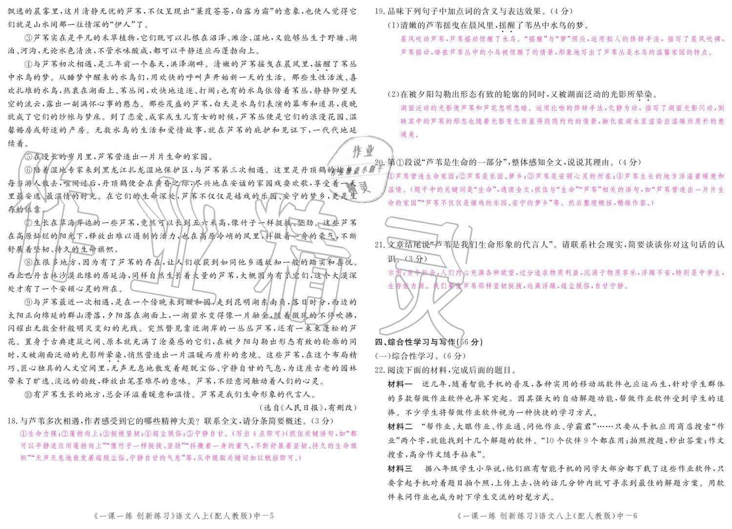 2019年一课一练创新练习八年级语文上册人教版 参考答案第137页