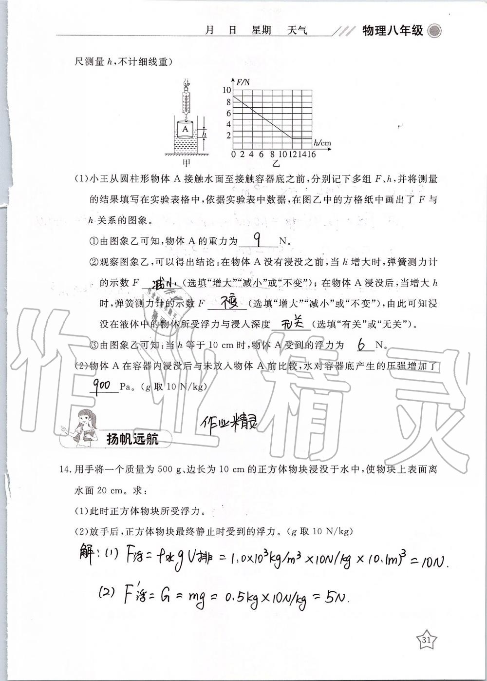 2019年湘岳假期暑假作业八年级物理 第31页