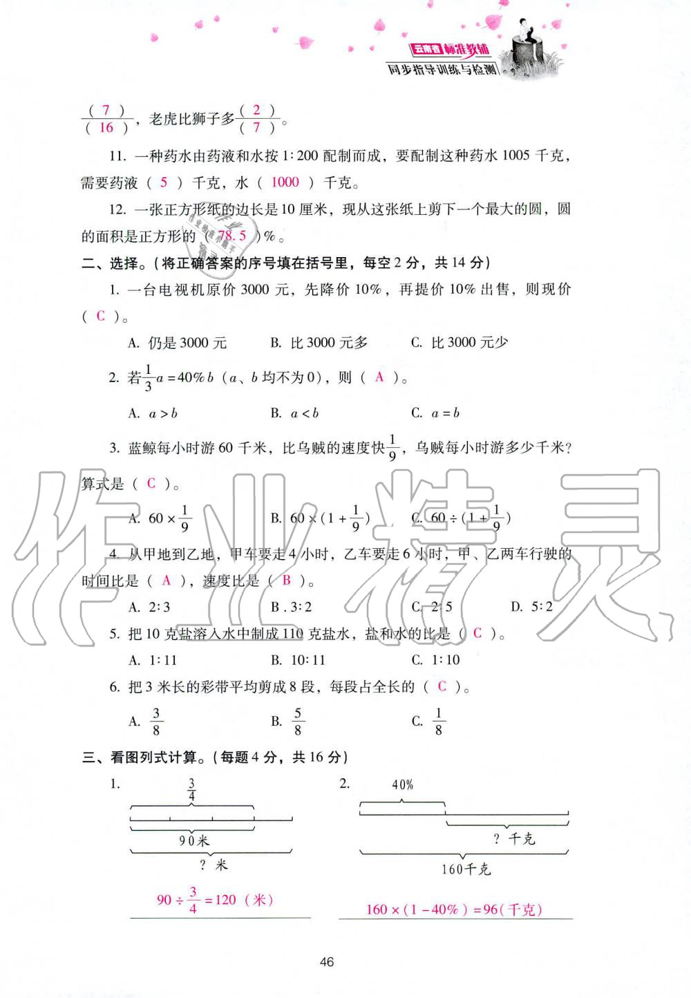 2019年云南省标准教辅同步指导训练与检测六年级数学人教版 参考答案第120页