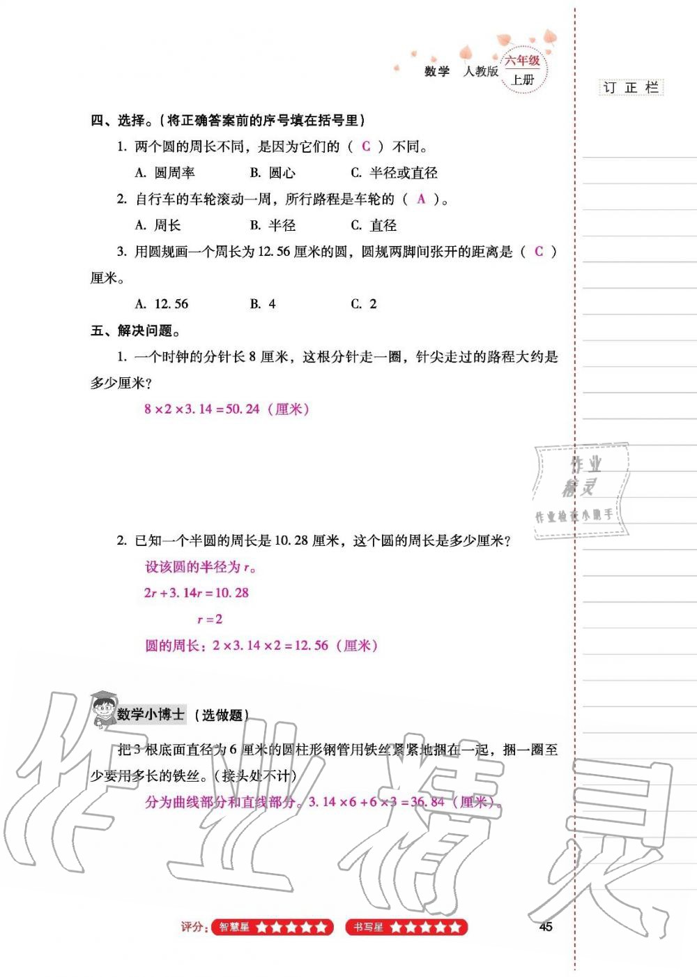 2019年云南省标准教辅同步指导训练与检测六年级数学人教版 参考答案第44页