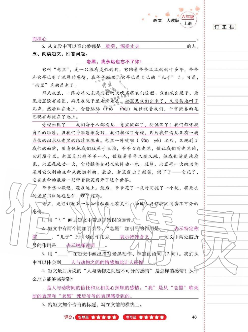 2019年云南省标准教辅同步指导训练与检测六年级语文上册人教版 参考答案第42页