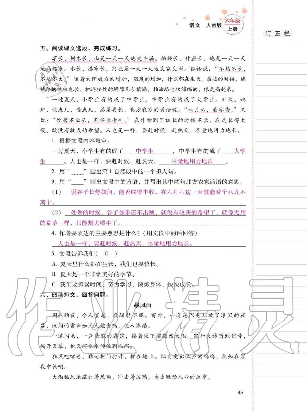 2019年云南省標(biāo)準(zhǔn)教輔同步指導(dǎo)訓(xùn)練與檢測(cè)六年級(jí)語(yǔ)文上冊(cè)人教版 參考答案第44頁(yè)