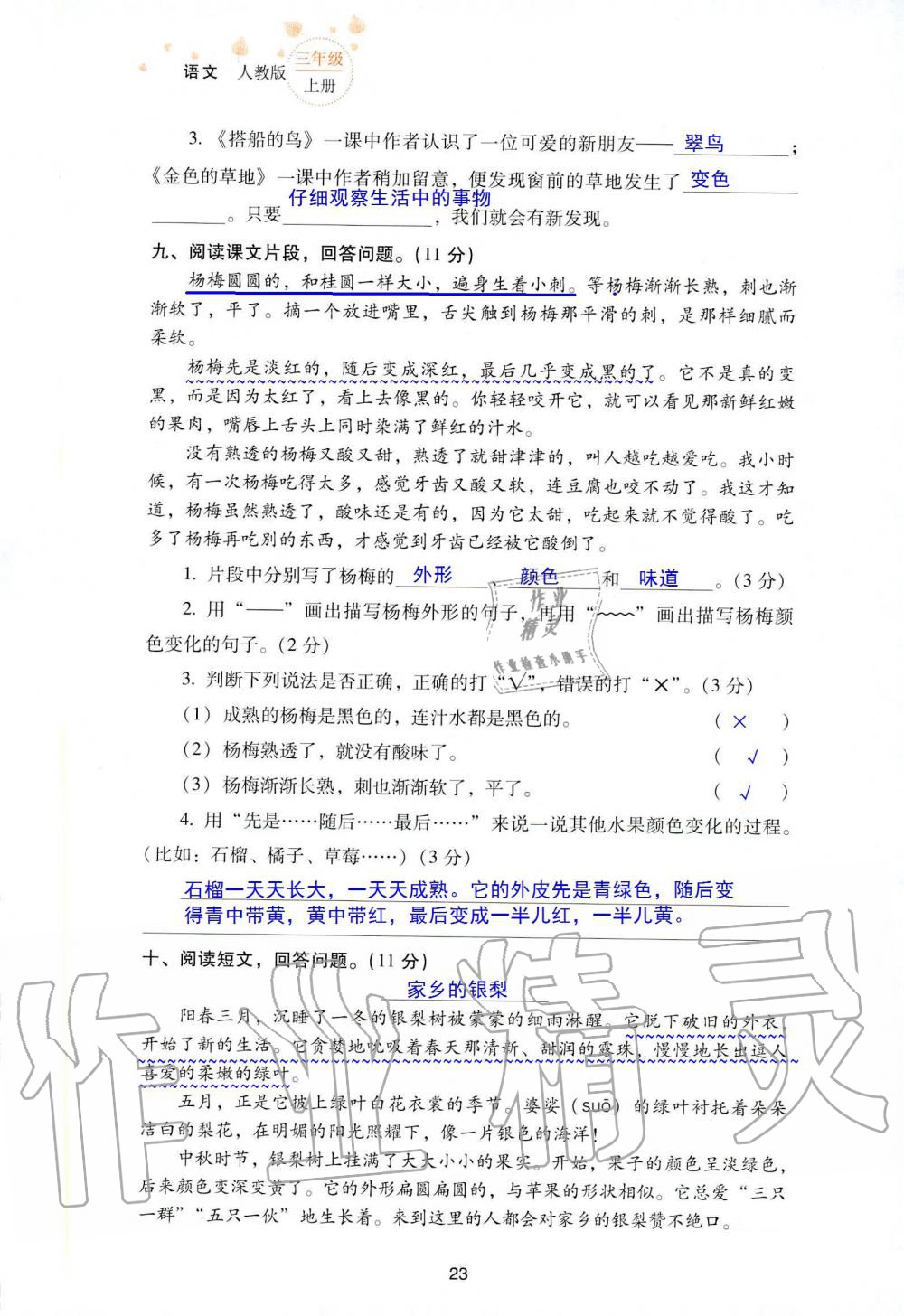 2019年云南省标准教辅同步指导训练与检测三年级语文人教版 参考答案第96页