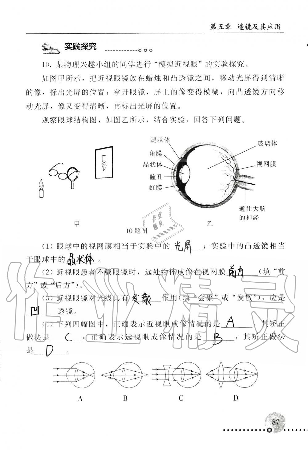 2019年配套练习册八年级物理上册人教版 第87页