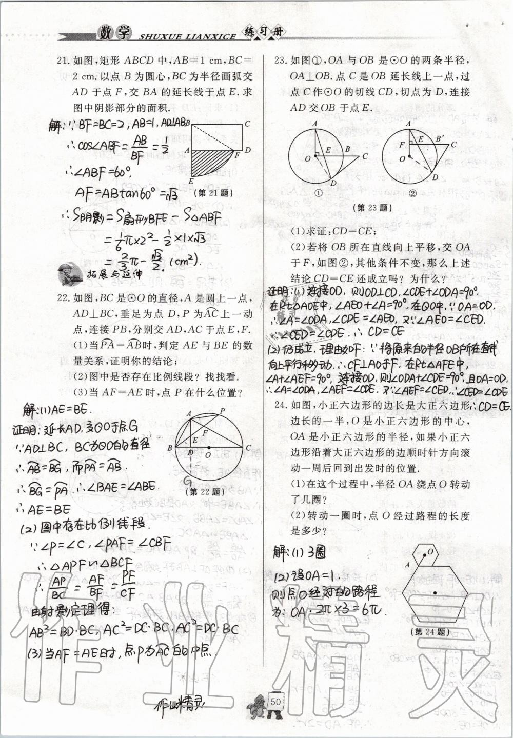 2019年配套練習冊九年級數(shù)學上冊青島版泰山出版社 第31頁