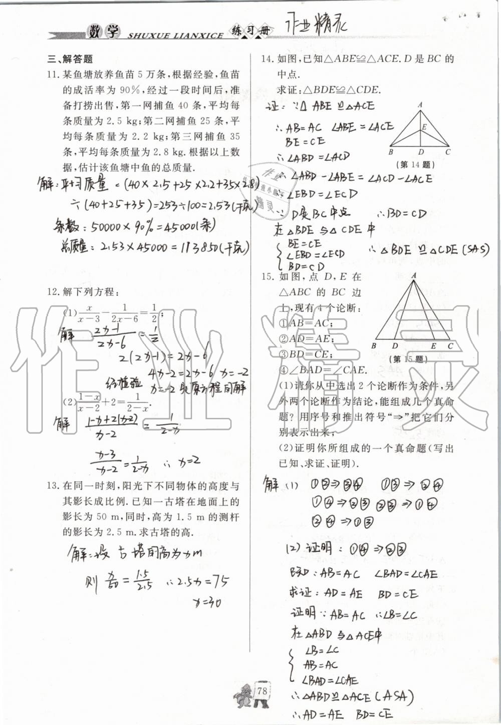 2019年配套练习册八年级数学上册青岛版泰山出版社 参考答案第78页