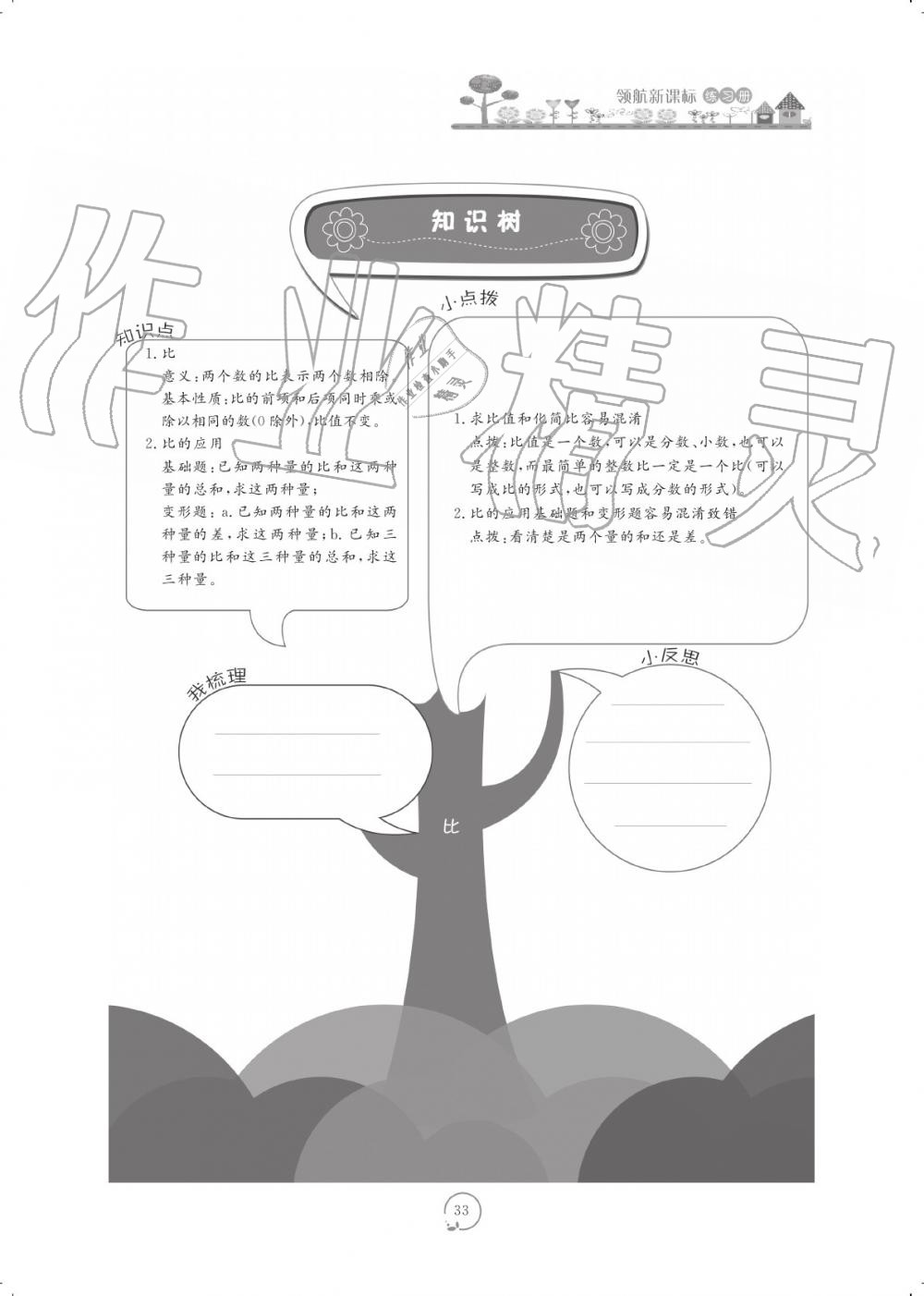 2019年領航新課標數(shù)學練習冊六年級人教版 參考答案第33頁