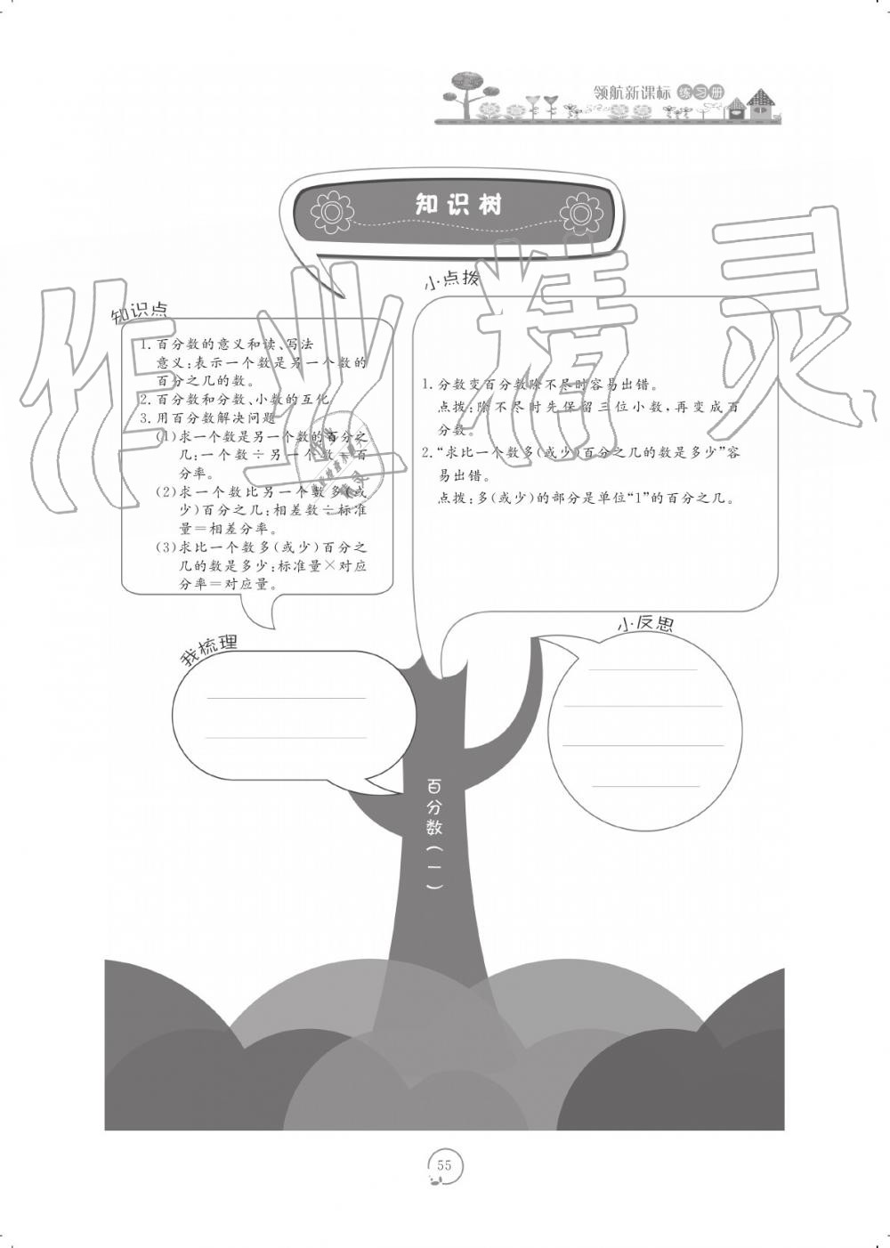 2019年領(lǐng)航新課標(biāo)數(shù)學(xué)練習(xí)冊六年級人教版 參考答案第55頁