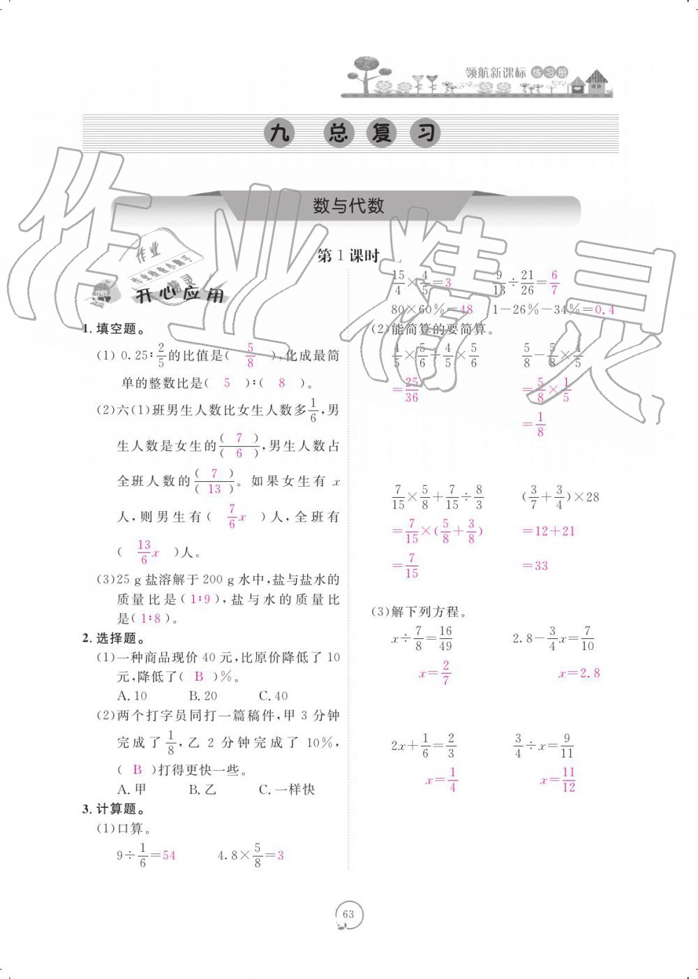 2019年領航新課標數(shù)學練習冊六年級人教版 參考答案第63頁