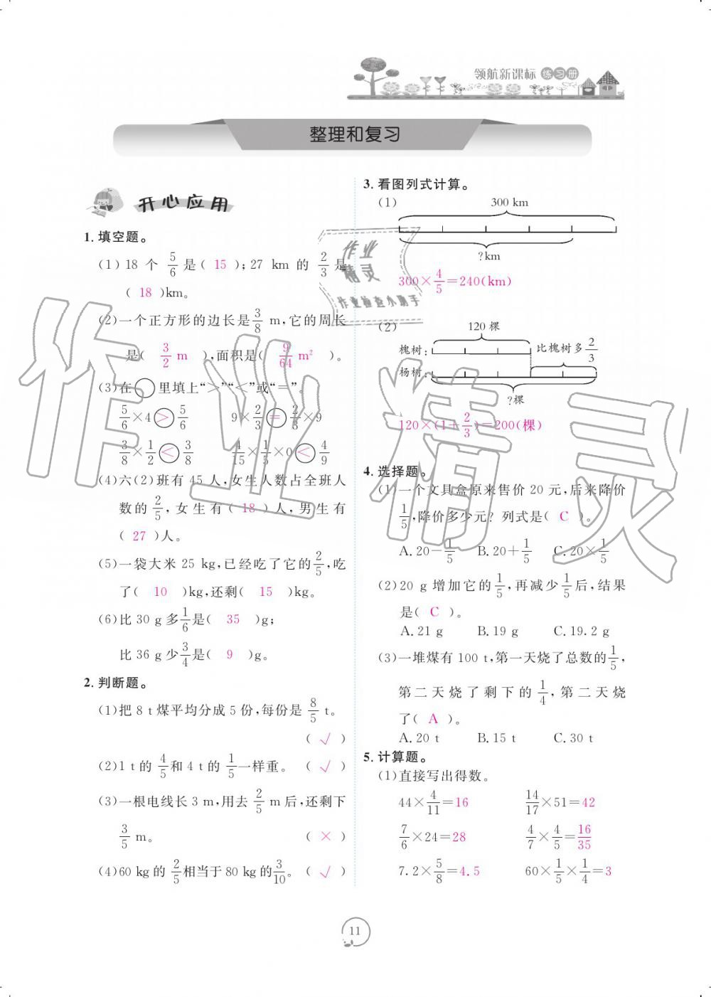 2019年領(lǐng)航新課標(biāo)數(shù)學(xué)練習(xí)冊六年級人教版 參考答案第11頁