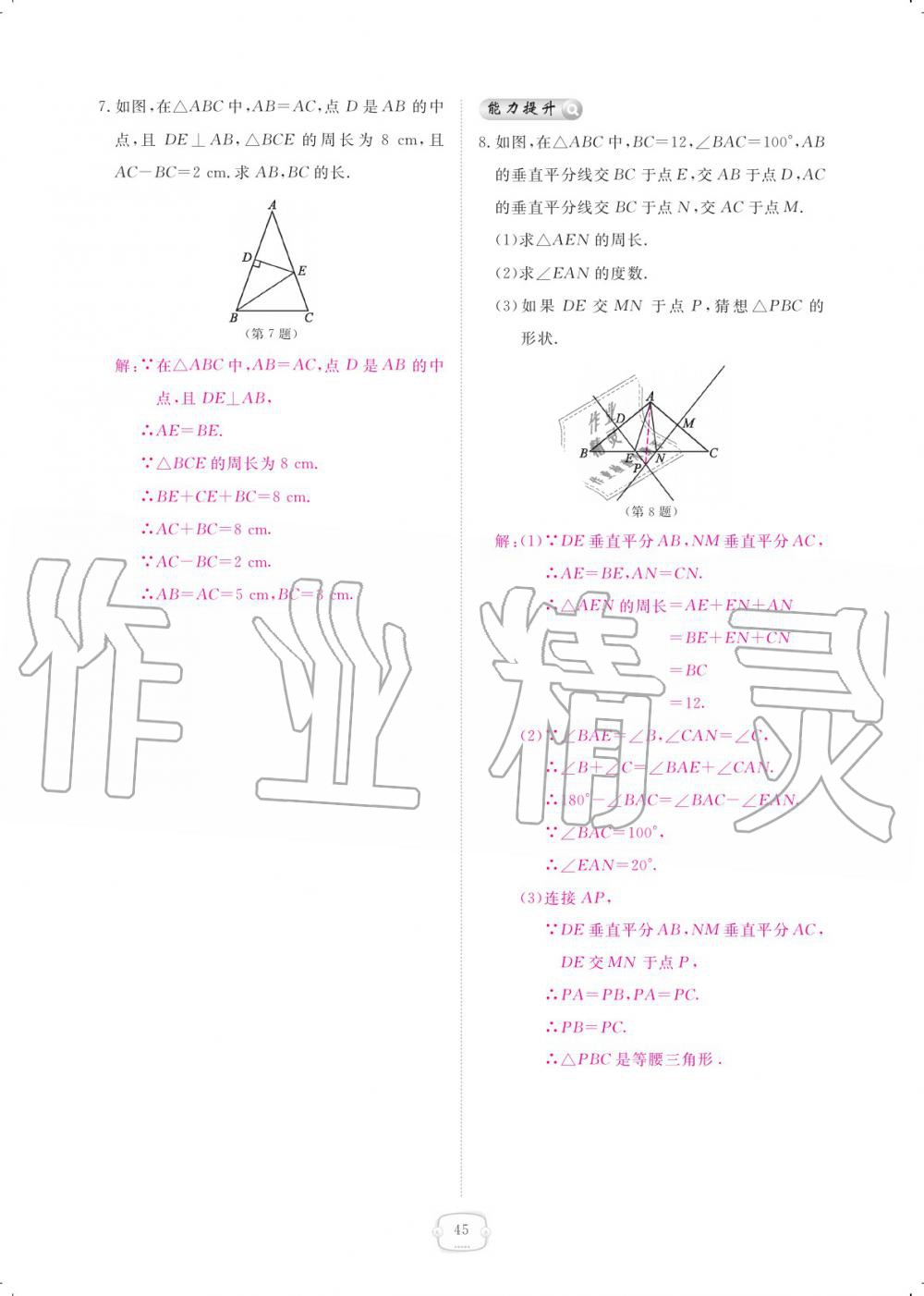 2019年領(lǐng)航新課標(biāo)練習(xí)冊(cè)八年級(jí)數(shù)學(xué)上冊(cè)人教版 參考答案第45頁(yè)