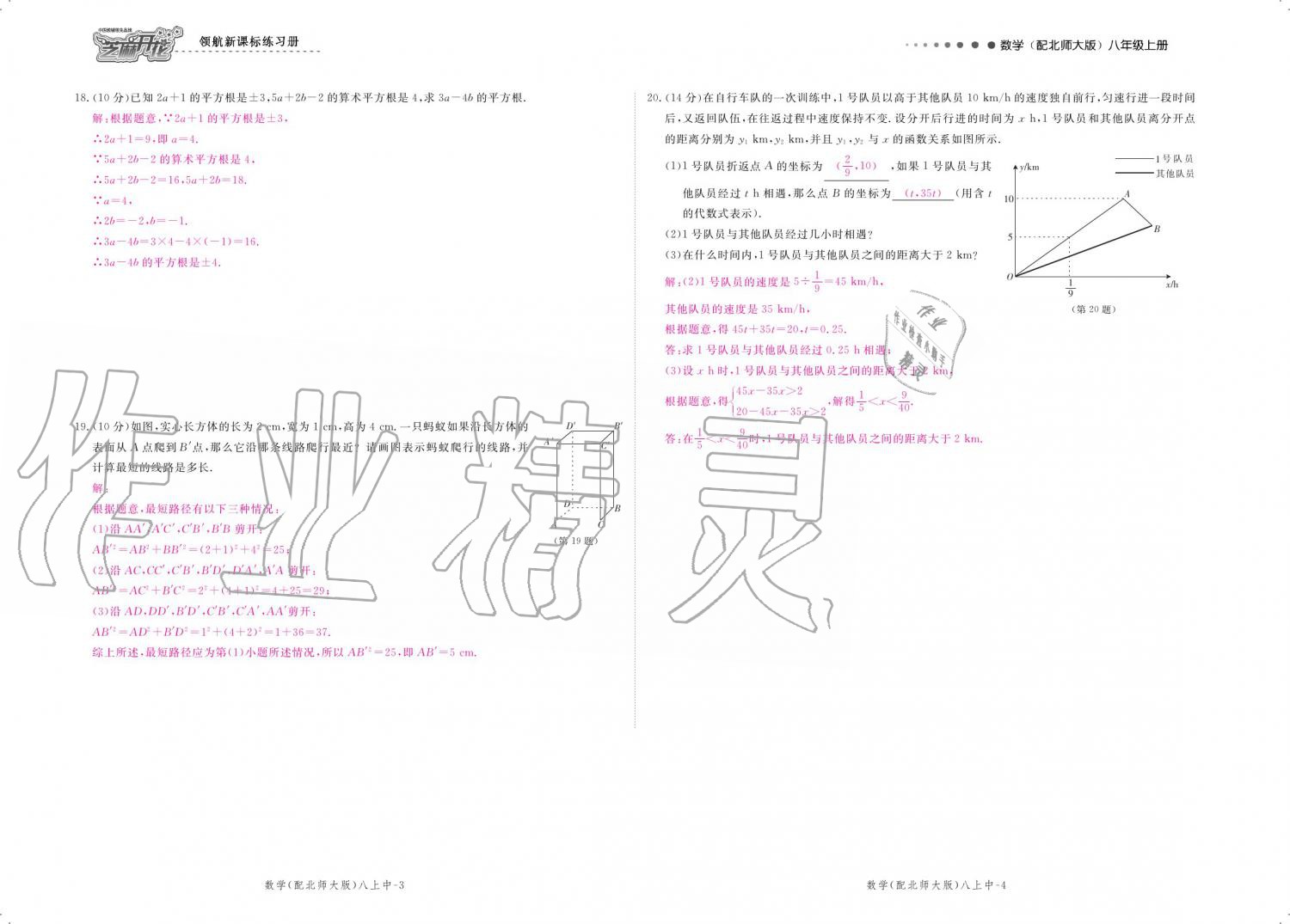 2019年領(lǐng)航新課標(biāo)練習(xí)冊(cè)八年級(jí)數(shù)學(xué)上冊(cè)北師大版 參考答案第112頁(yè)