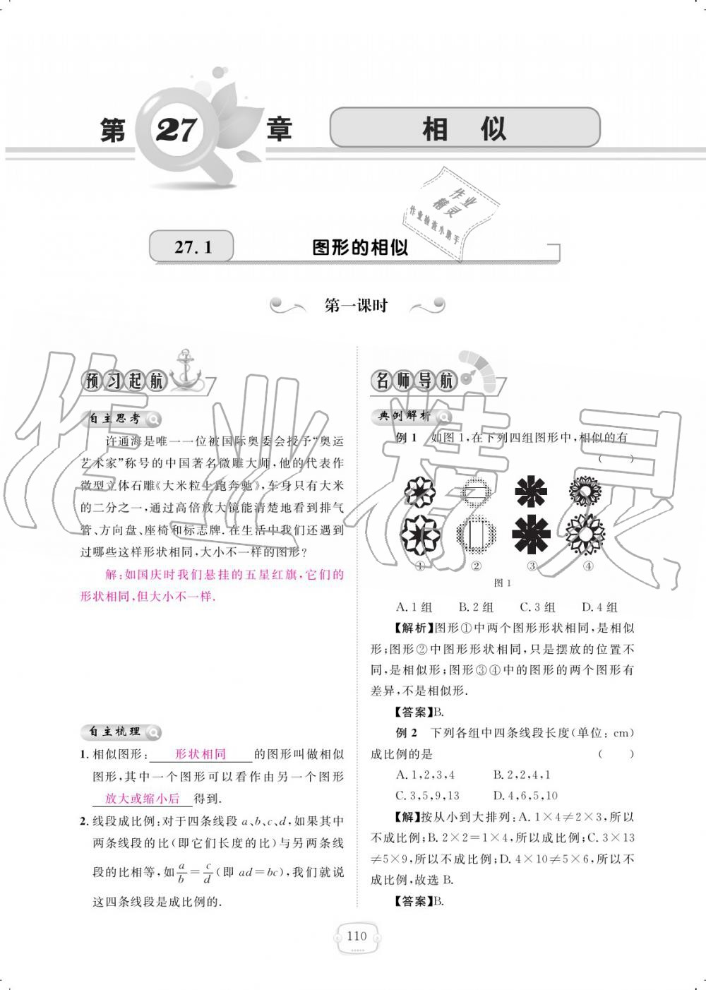 2019年領(lǐng)航新課標(biāo)練習(xí)冊(cè)九年級(jí)數(shù)學(xué)全一冊(cè)人教版 參考答案第110頁