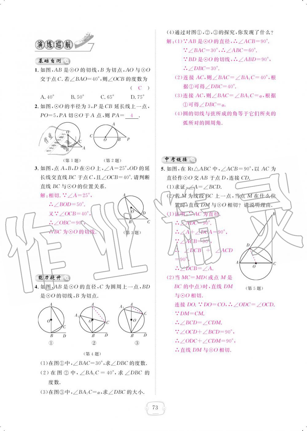 2019年領(lǐng)航新課標(biāo)練習(xí)冊(cè)九年級(jí)數(shù)學(xué)全一冊(cè)人教版 參考答案第73頁