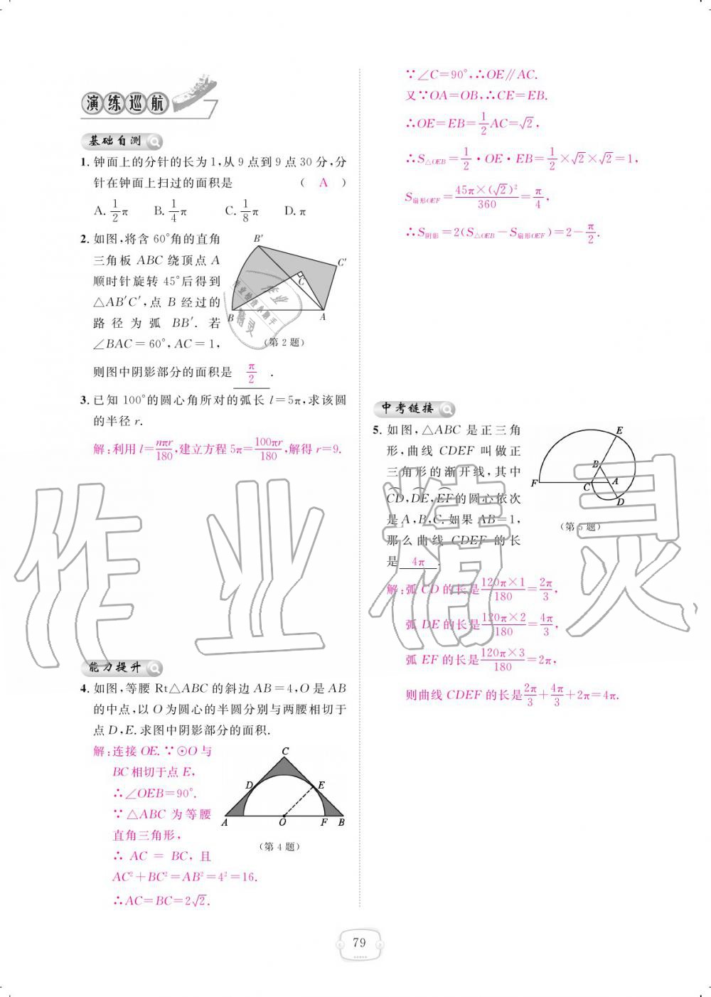 2019年領(lǐng)航新課標(biāo)練習(xí)冊(cè)九年級(jí)數(shù)學(xué)全一冊(cè)人教版 參考答案第79頁