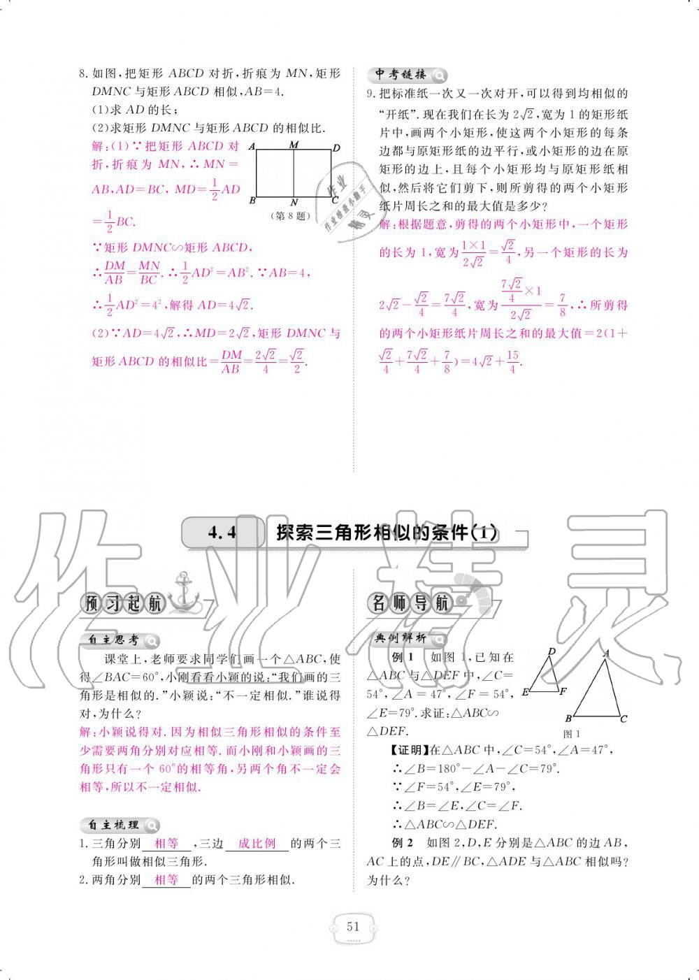 2019年領(lǐng)航新課標練習(xí)冊九年級數(shù)學(xué)全一冊北師大版 參考答案第51頁