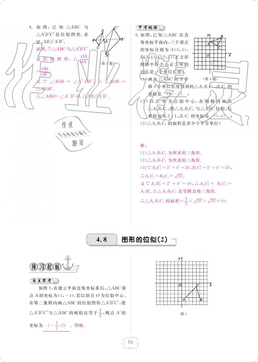 2019年領航新課標練習冊九年級數(shù)學全一冊北師大版 參考答案第70頁